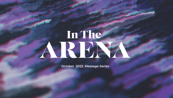 In The Arena - Social Media & Identity Image