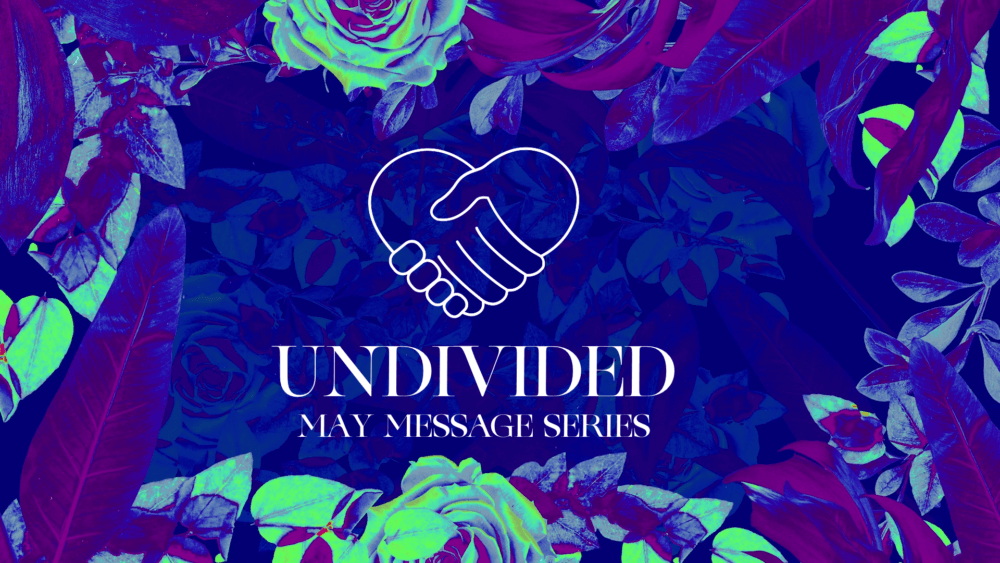UNDIVIDED