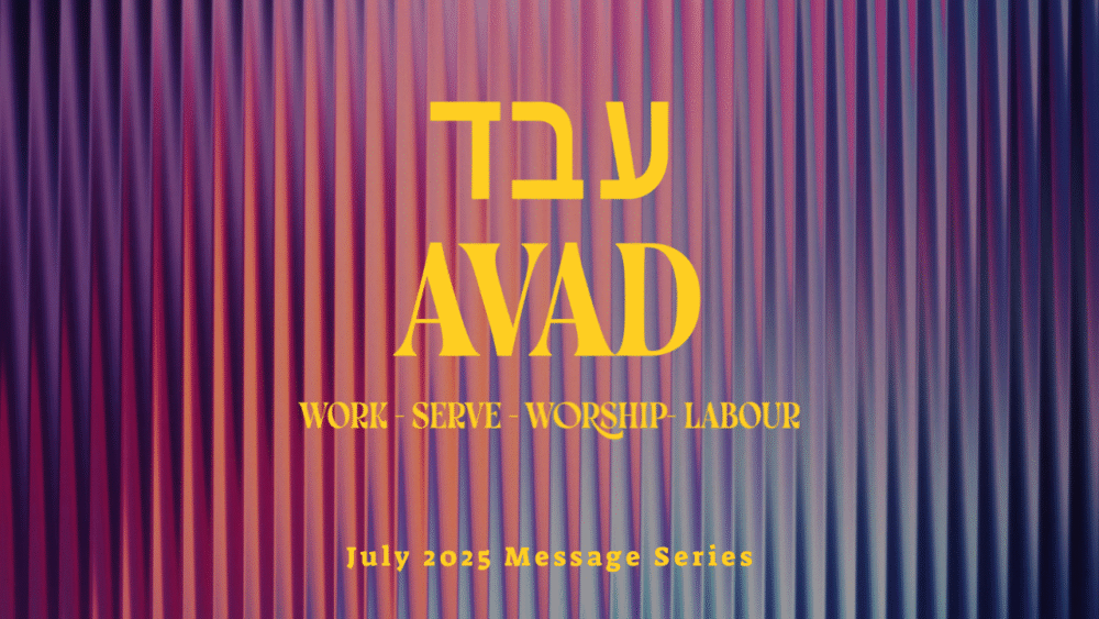 AVAD עבד 
